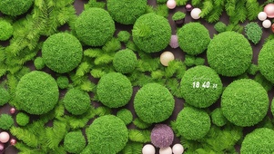 绿荫 护眼绿