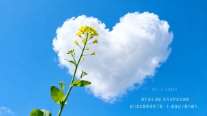 油菜花爱心云朵