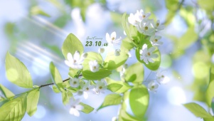 4K清新治愈绿色护眼花朵