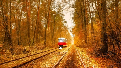 6K 唯美超清【电车】