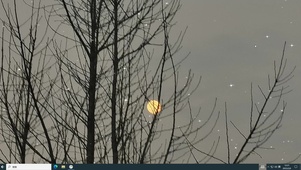 月初山头  电脑版