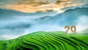 夕阳  梯田
