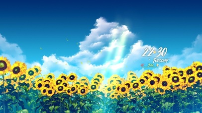 治愈蓝天下的向日葵