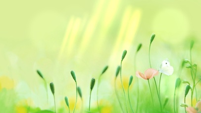 春心莫共花争发