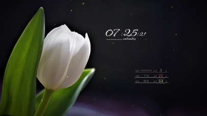 4k高清唯美郁金香