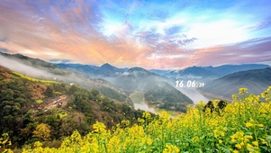 唯美油菜花