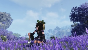 晴昼海挖草药花萝