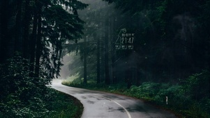唯美雨天幽静树林公路