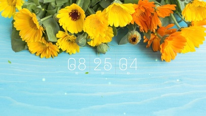 简约清新花草植物壁纸