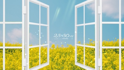 唯美阳光窗外油菜花海