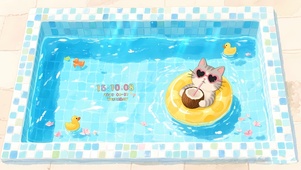 阳光泳池猫咪