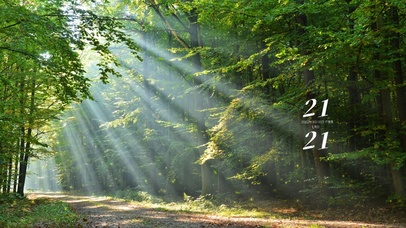 4k高清温暖阳光系列