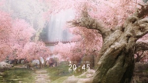 樱花林