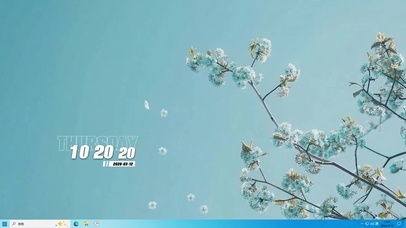 简约树枝桌面主题