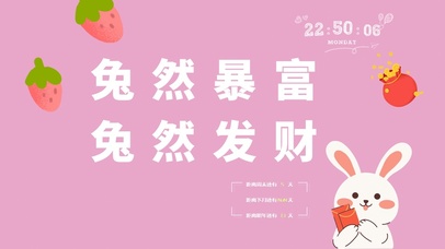 4k高清可爱兔子系列