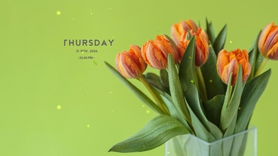 小清新电脑壁纸