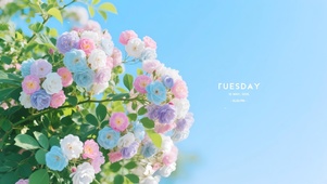 小清新鲜花