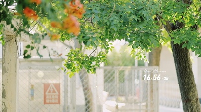 4K治愈夏天城市街道