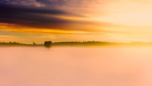 瑞典的晨冬