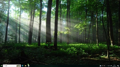 阳光清晨主题壁纸