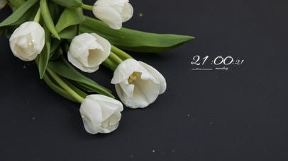 4k清新郁金香桌面