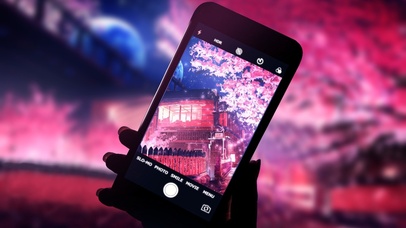 雨季-飘落的樱花