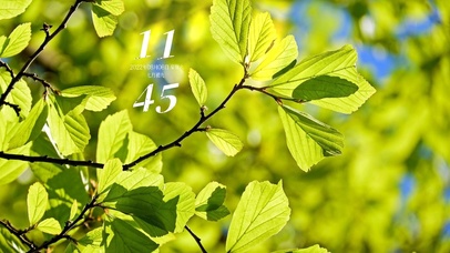 4k高清治愈阳光小清新