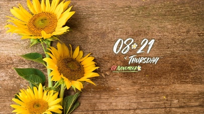 简约清新花草植物壁纸