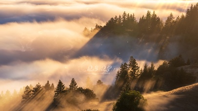 4K 森林之巅落日流云