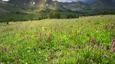 晓看天色暮看云