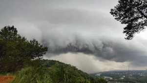 风雨欲来