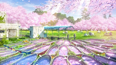 4K唯美樱花公园