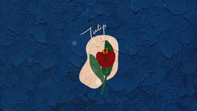 复古文艺 几何郁金香 跟手粒子