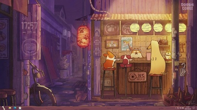 深夜食堂-小柯基