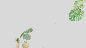 ins简约