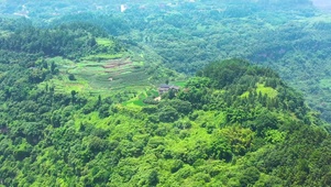 田园意境山间