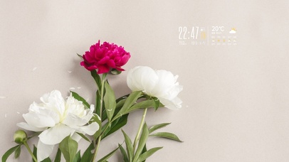 4k清新花草桌面