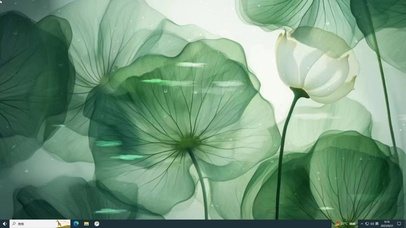 水中莲叶  主题