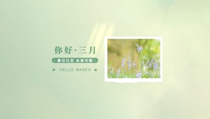 你好三月～未来可期