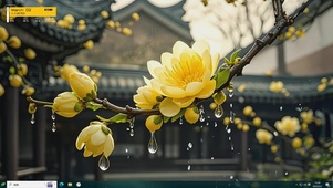腊梅花