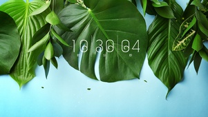 简约绿植ins风格桌面