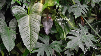 4k简约清新ins风格系列