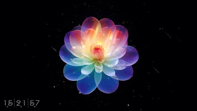 4K昙花一现（好运）