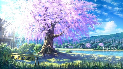 治愈阳光樱花树