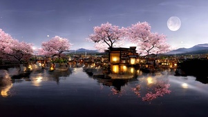 樱花水乡