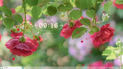 4k盛开的玫瑰花丛