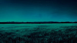 夜晚宁静草原