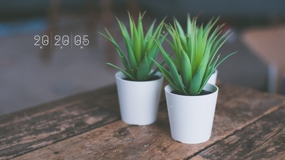 4k清新绿植简约系列