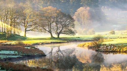 4K唯美日出森林风景