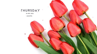 4k高级郁金香桌面